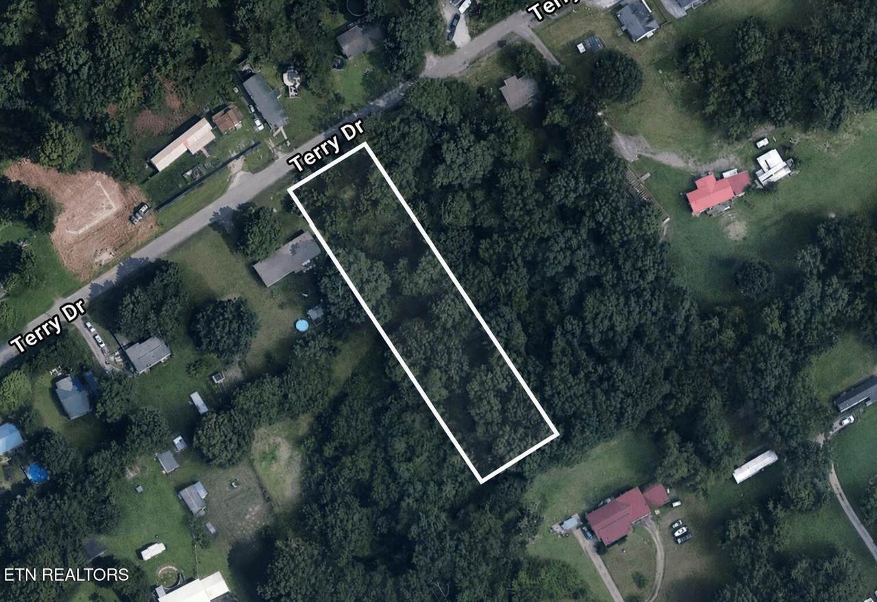 7012 Terry Drive - Photo 1