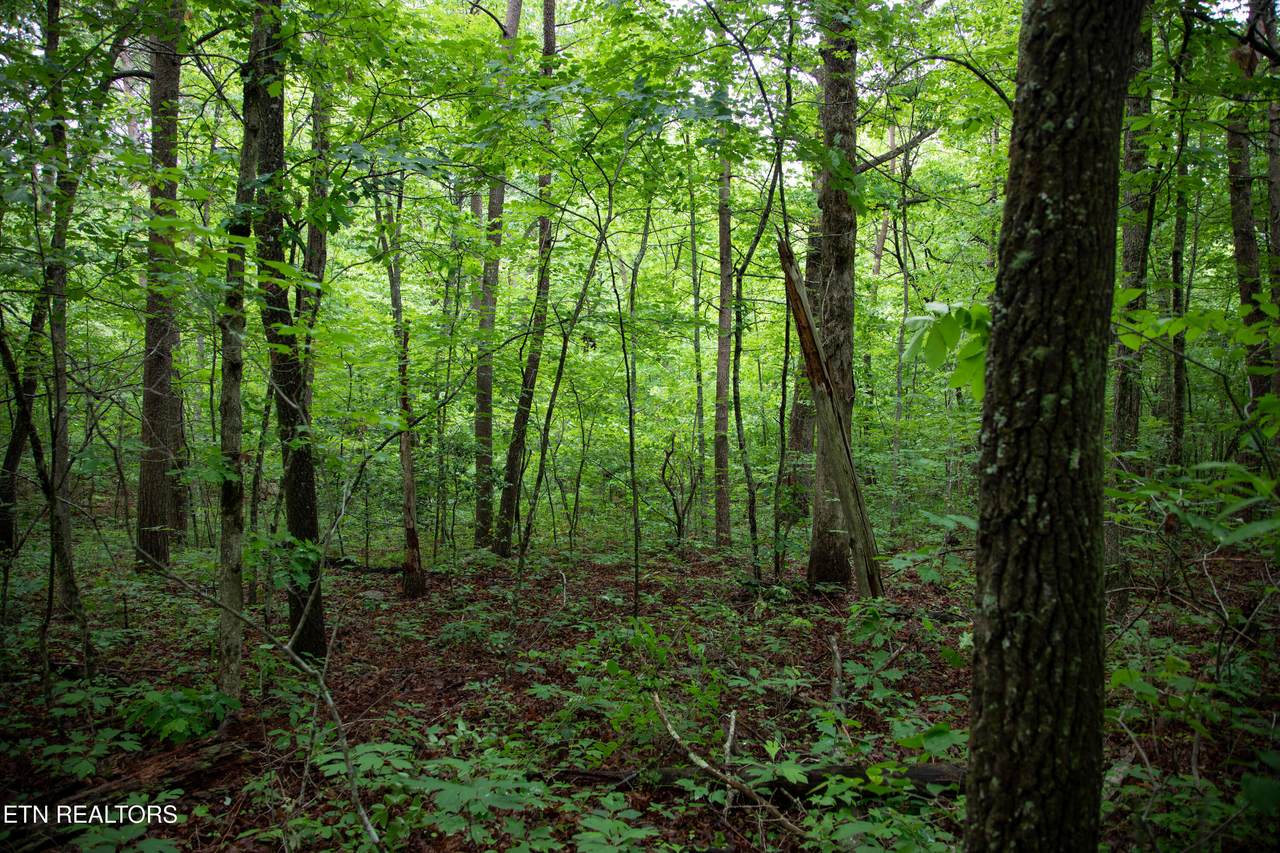 https://bt-photos.global.ssl.fastly.net/kaar/1280_boomver_1_1344495-2.jpg