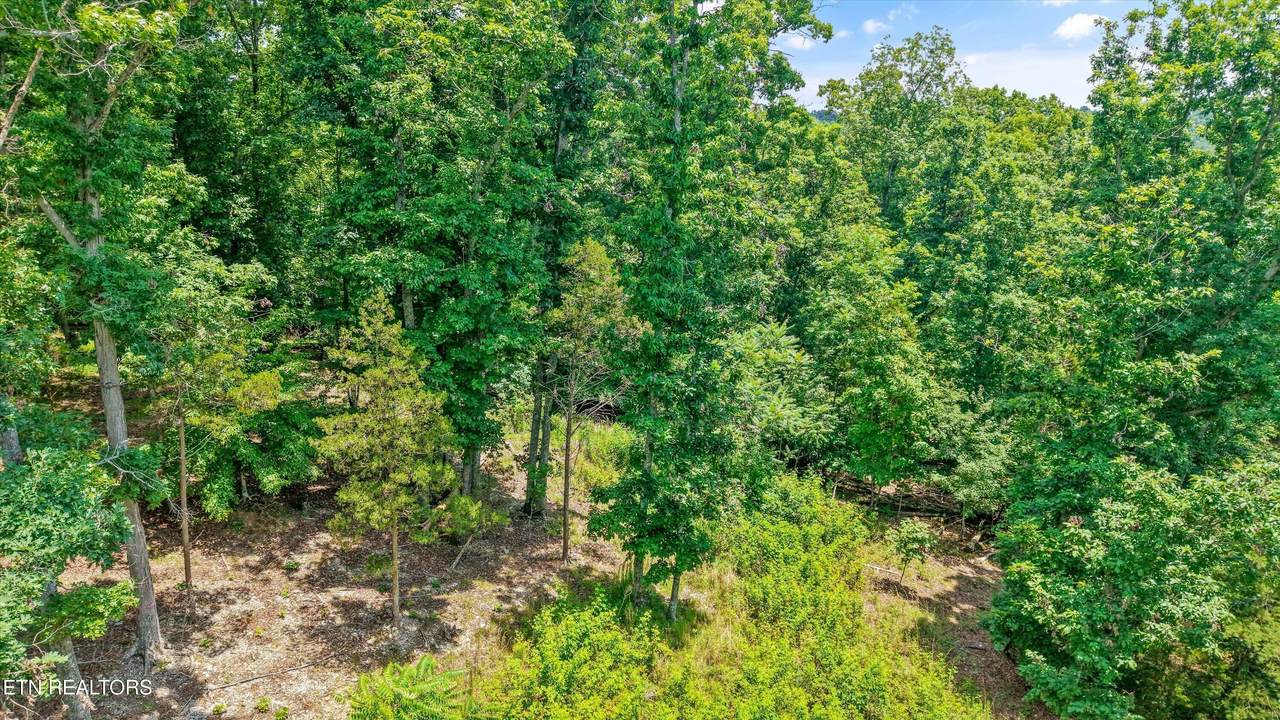 1499 Dogwood Valley Rd - Photo 1