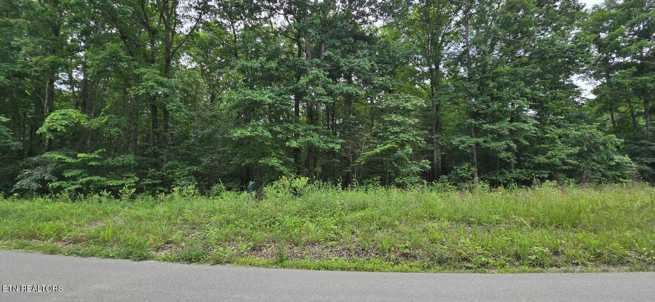 Lot 48-49 Bear Creek Rd - Photo 1