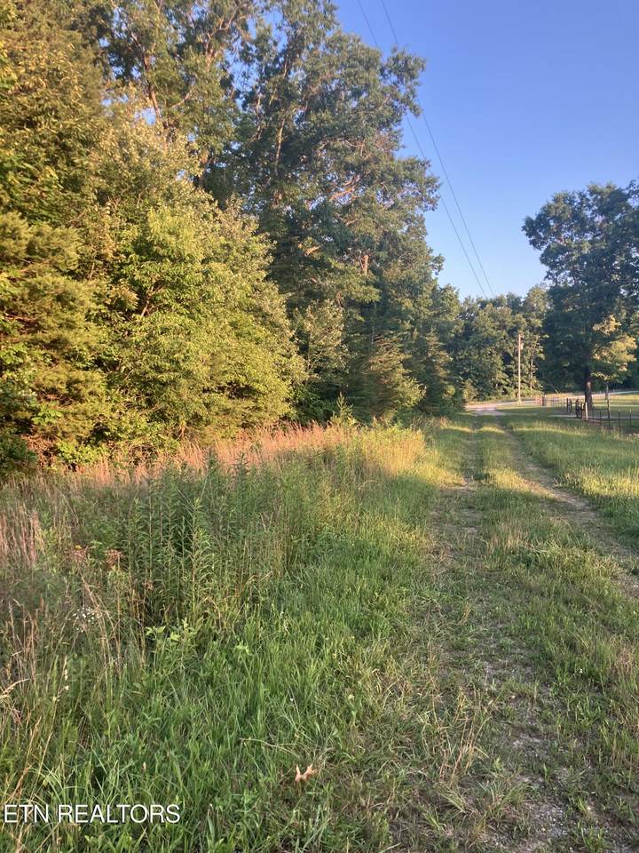 Lot 10 Holly Drive - Photo 1