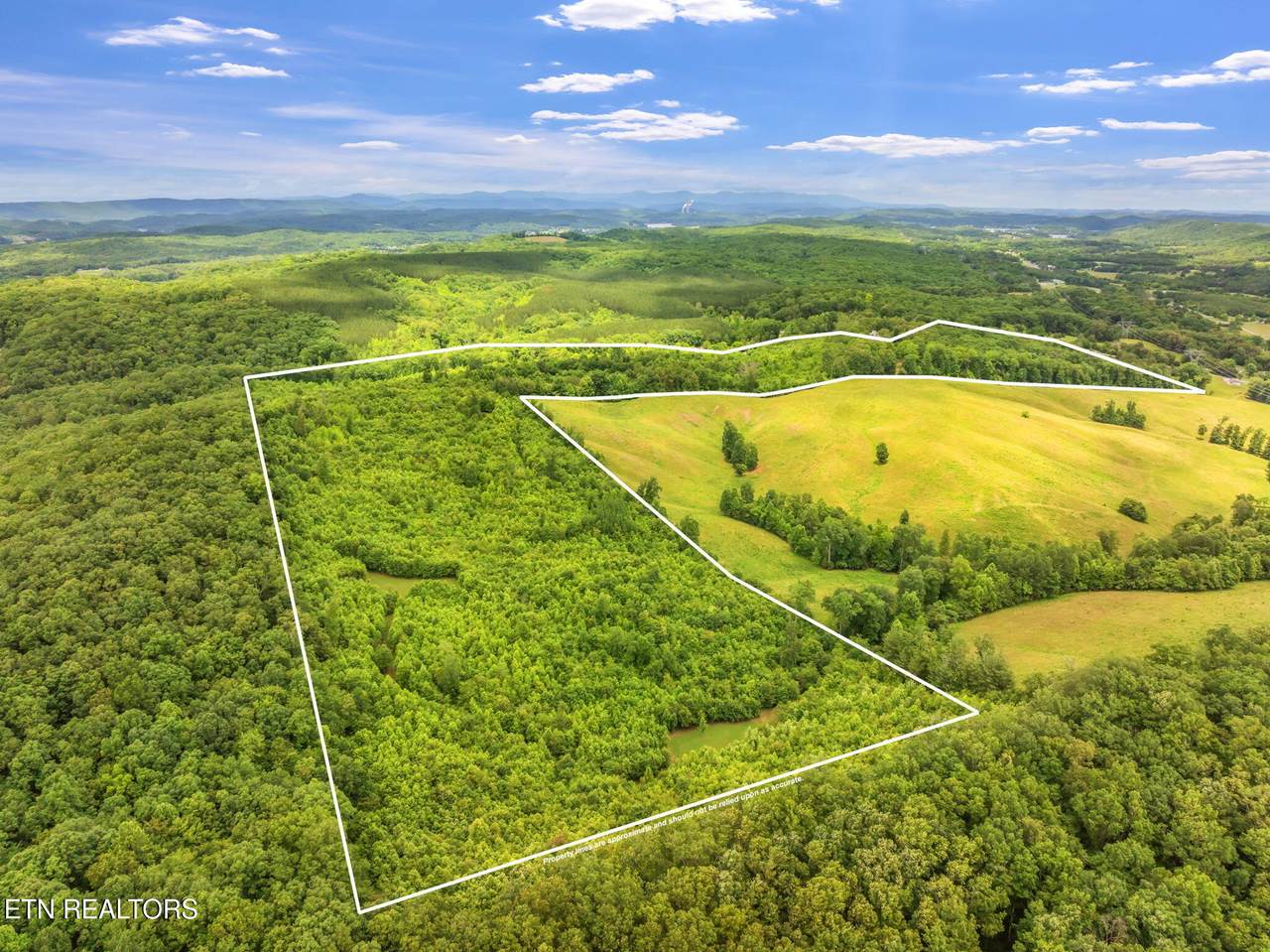 0 Grigsby Hollow Rd - Photo 1