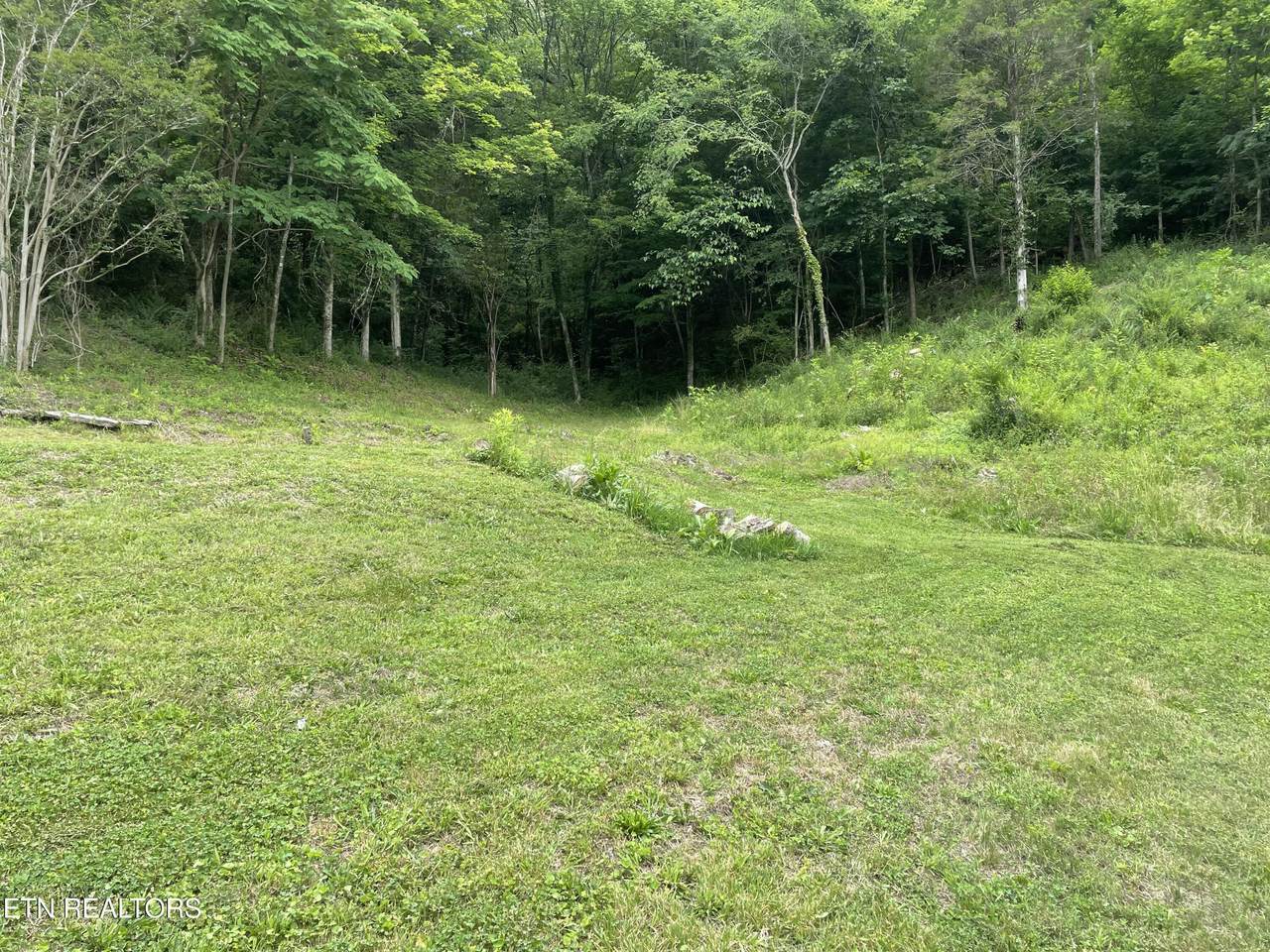 3901 Greenway Drive - Photo 1