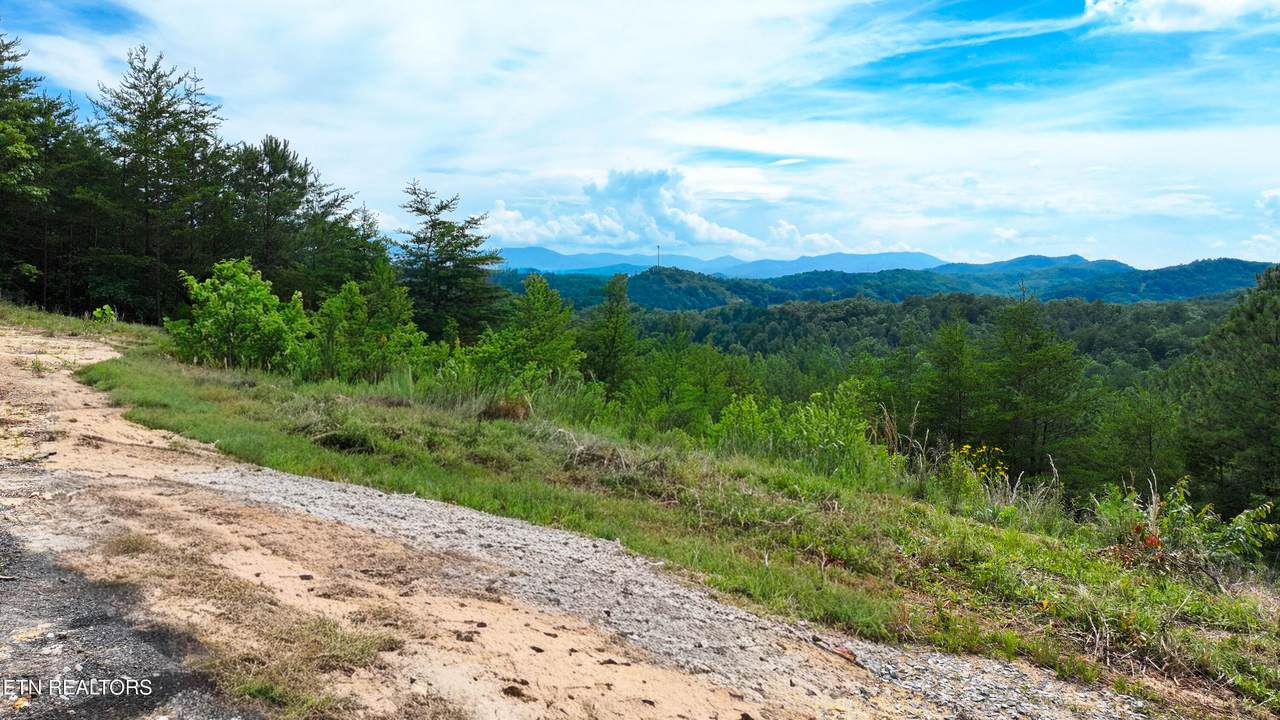  Sharp Rd - Photo 1