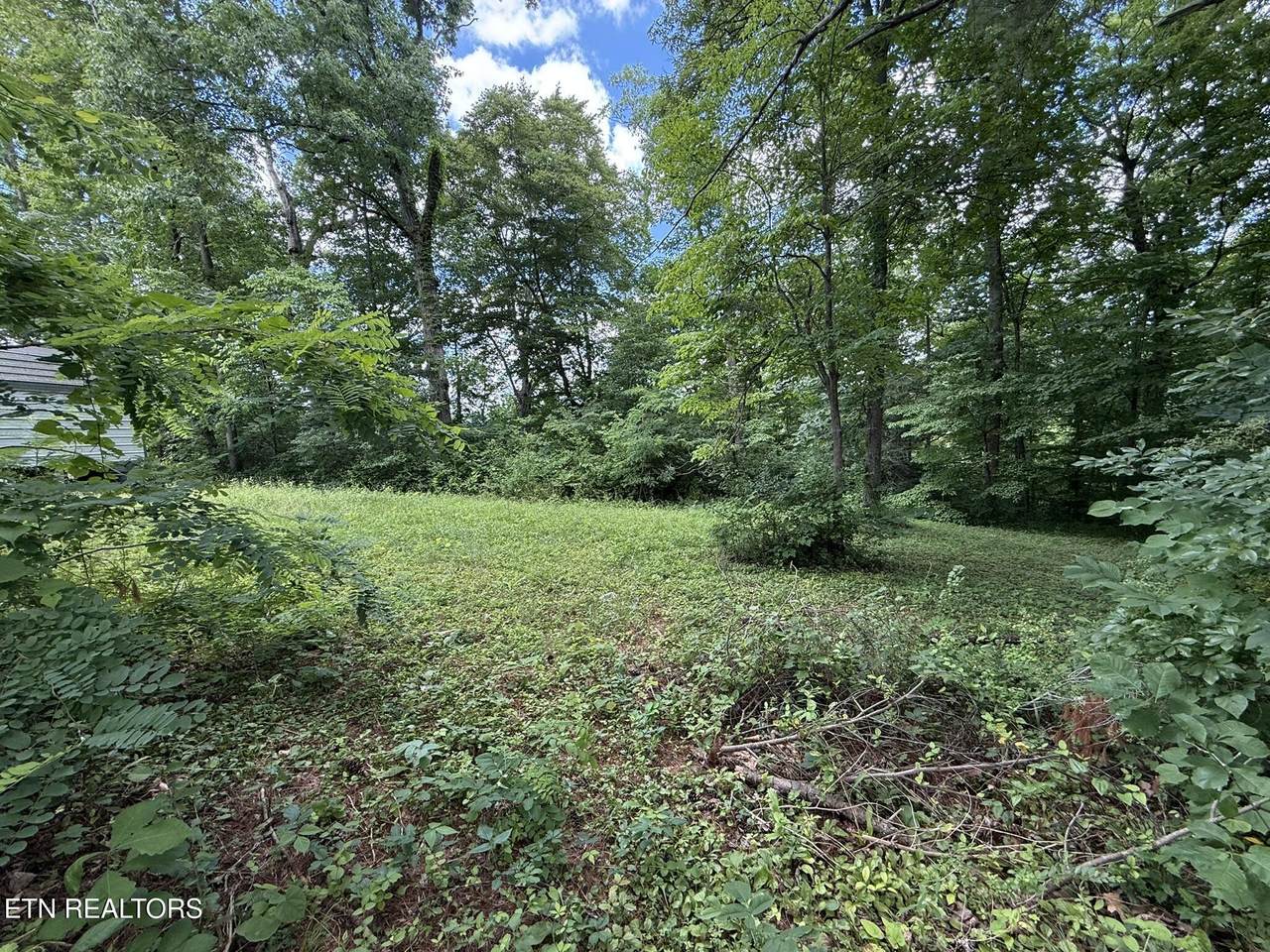  Shoreline Circle - Photo 1