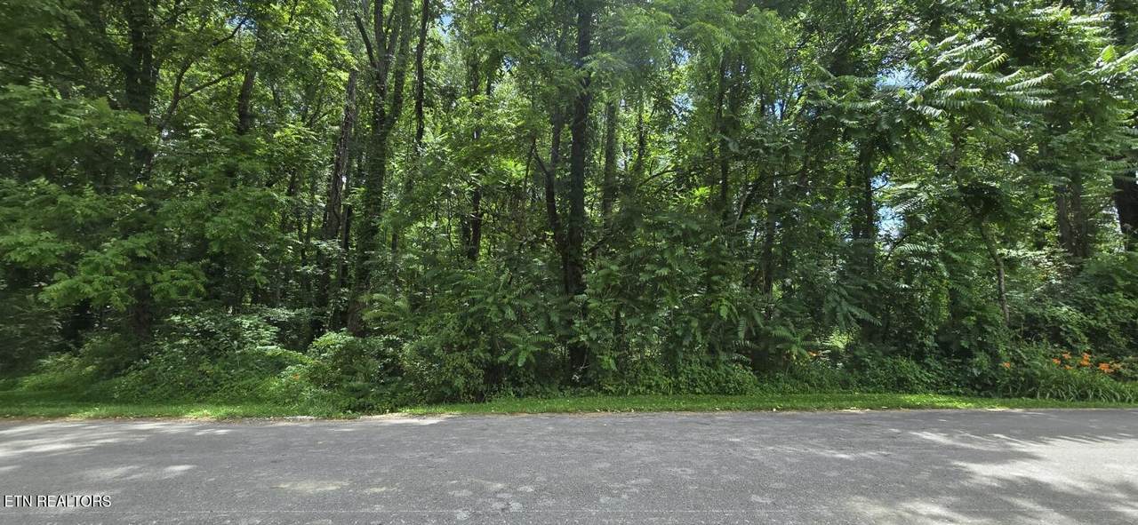  Shady Lane - Photo 1