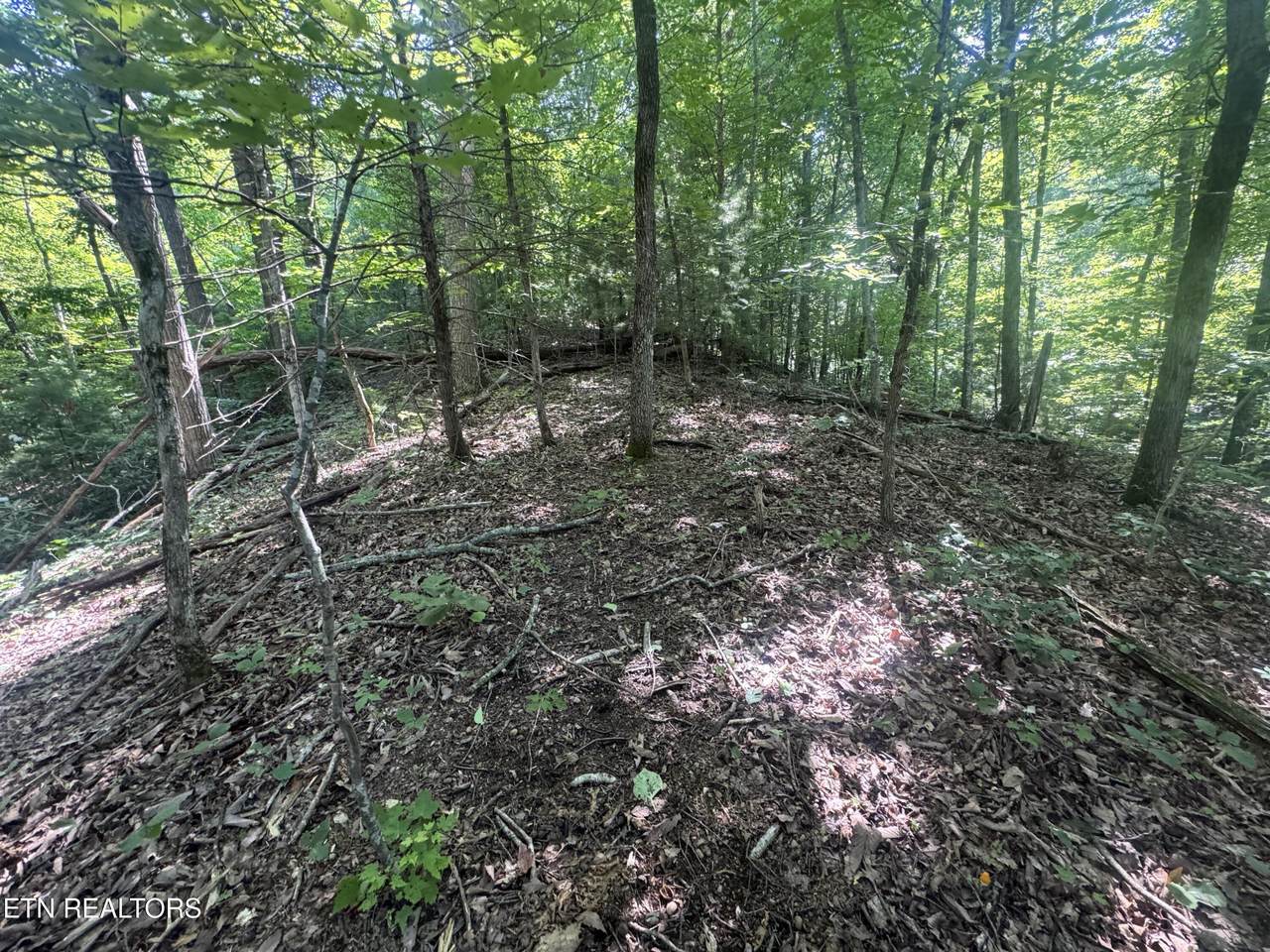 332 Padgett Mill Rd - Photo 1