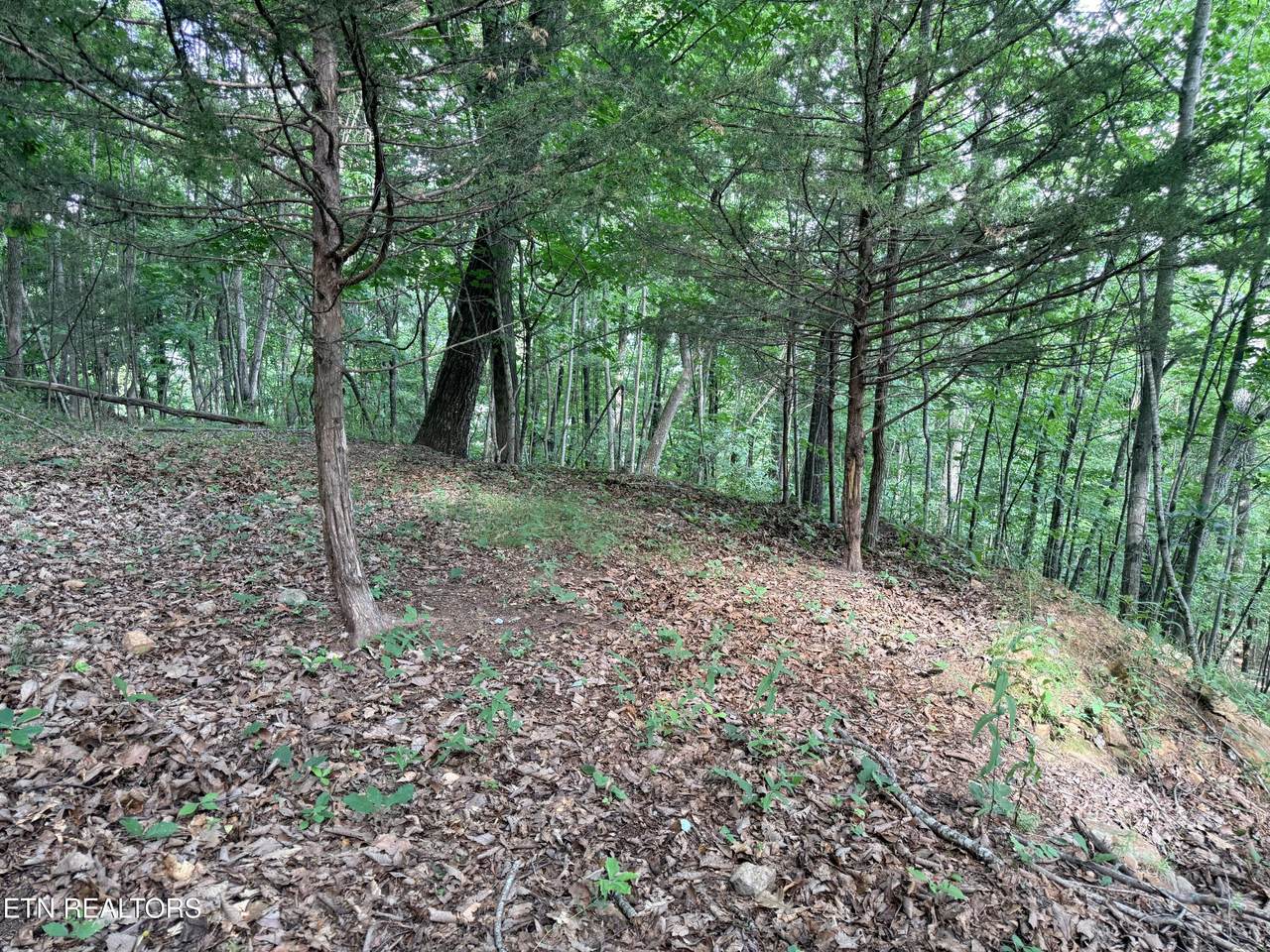 Lot 188 Chimney Rock Rd - Photo 1