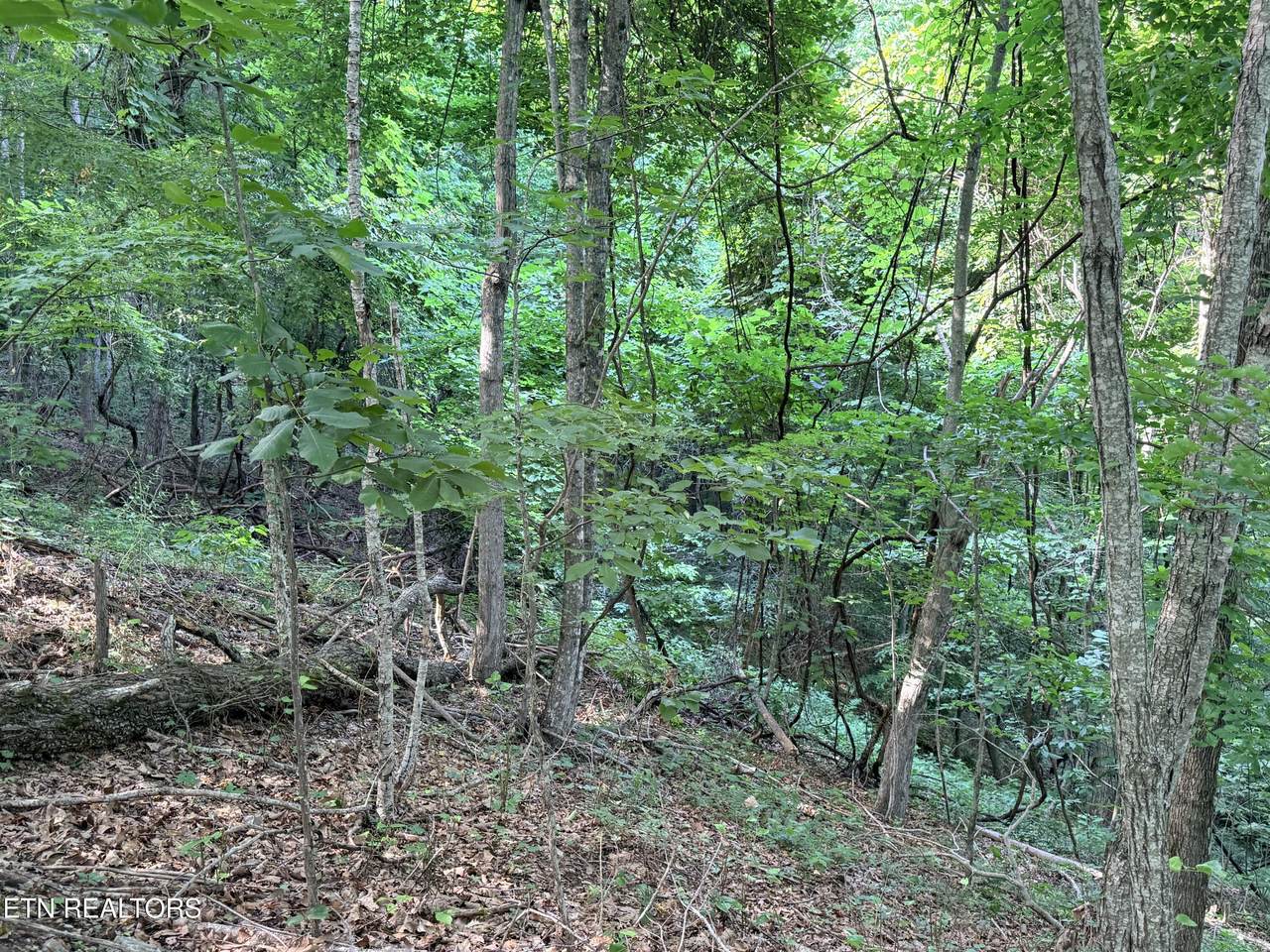 https://bt-photos.global.ssl.fastly.net/kaar/1280_boomver_1_1344889-2.jpg