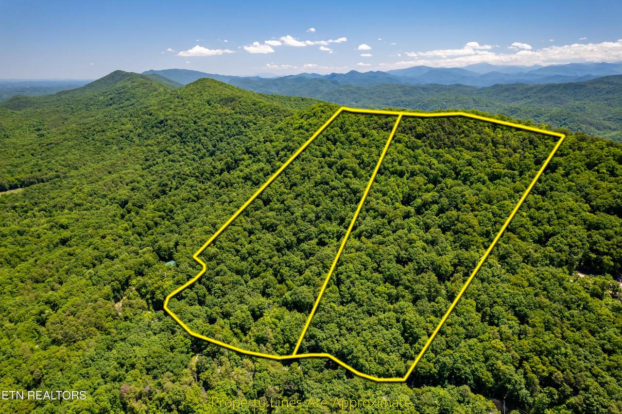  Butterfly Gap Rd - Photo 1