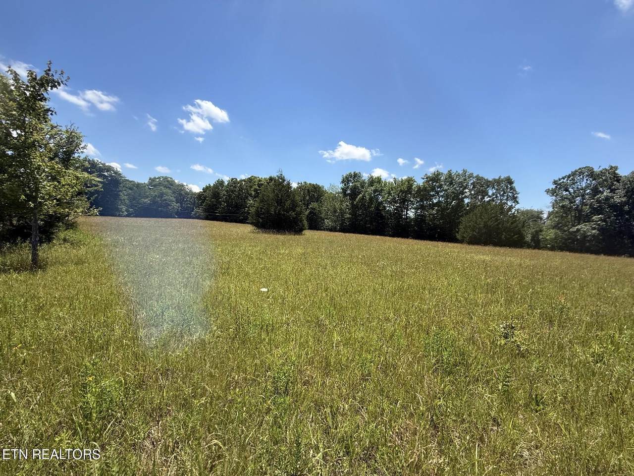  Maple Point Lane - Lot 6 - Photo 1