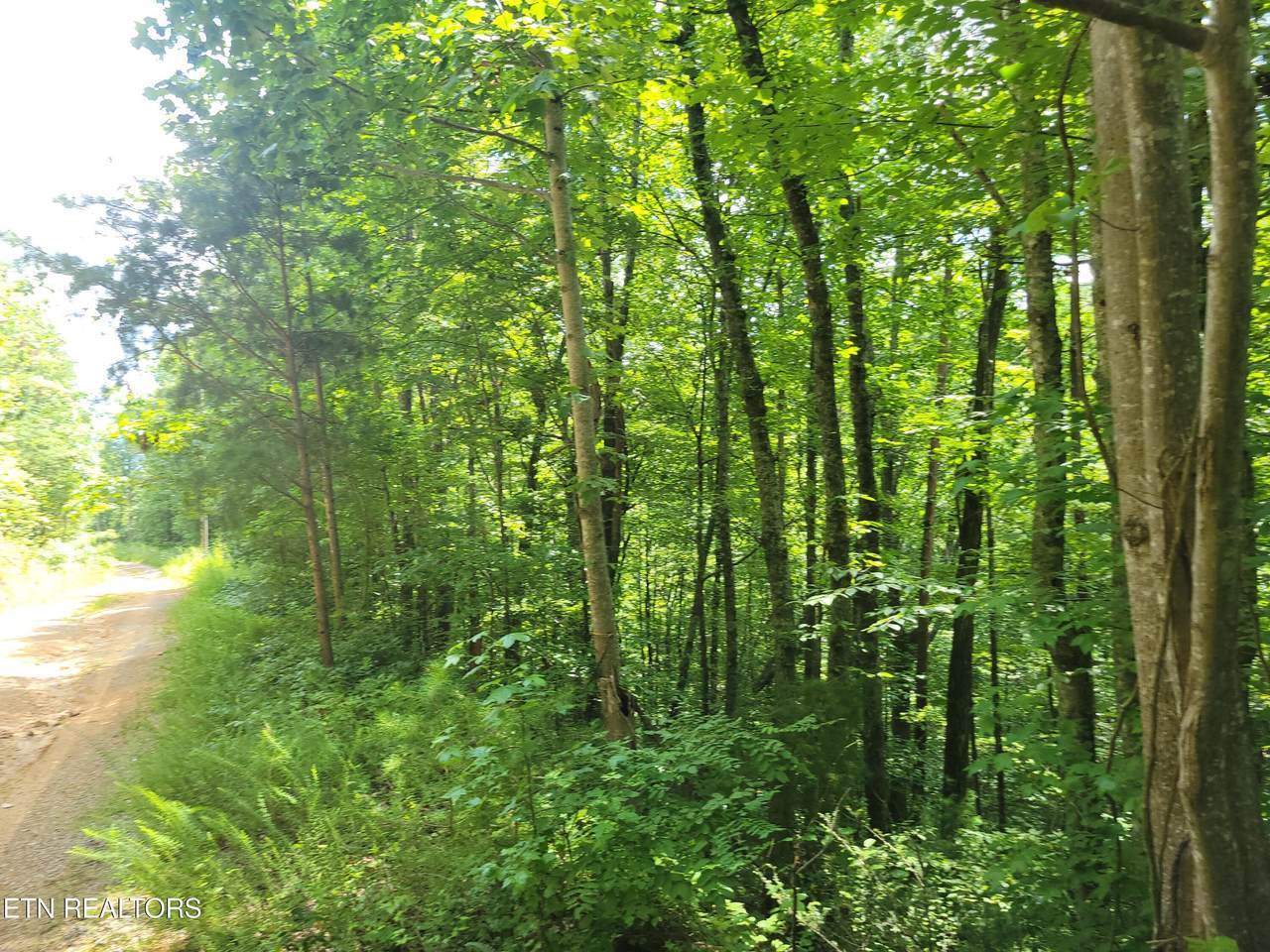 Lot 81 Buttonwood Drive - Photo 1