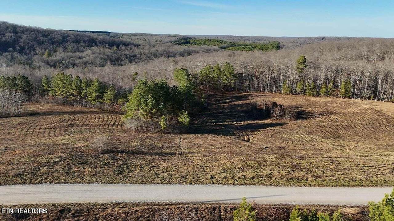 Lot 2&3 Honey Creek Loop Rd - Photo 1