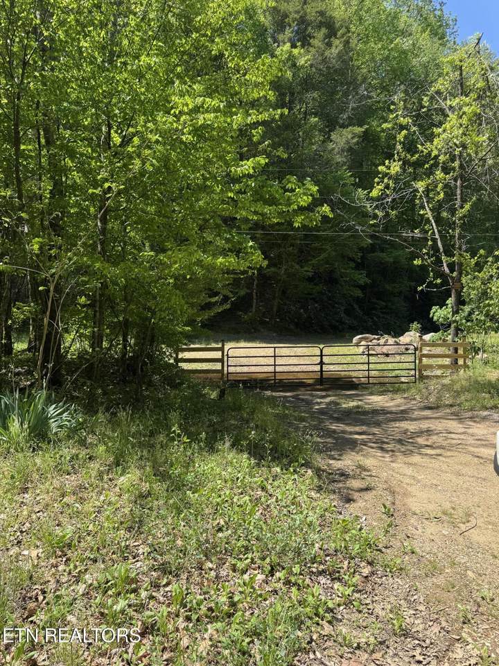 915 Chestnut Valley Rd - Photo 1