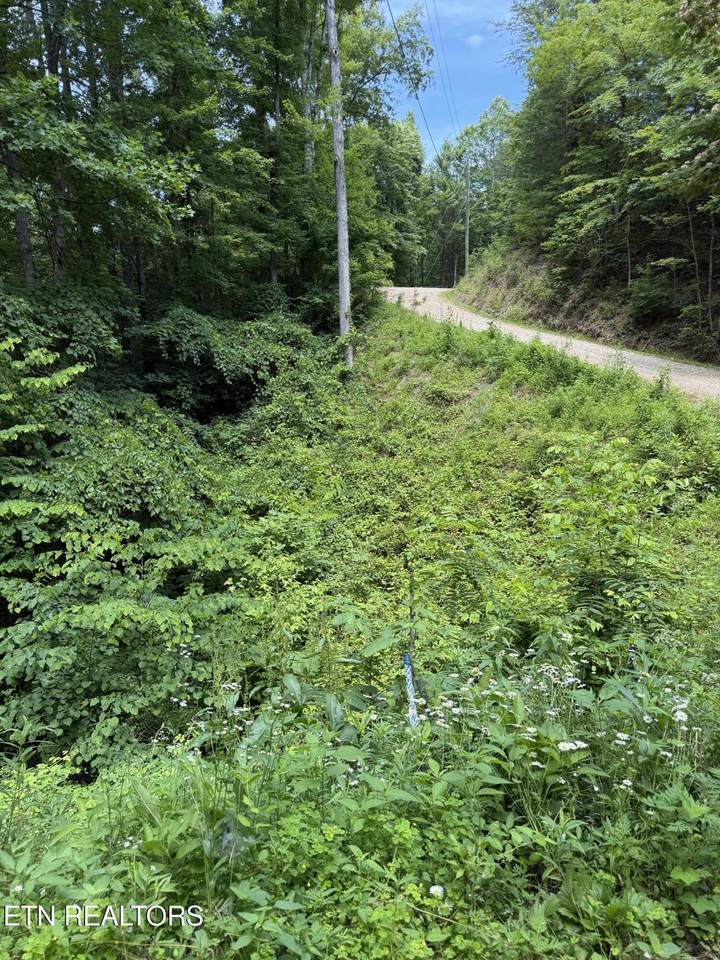  Butternut Lane - Photo 1