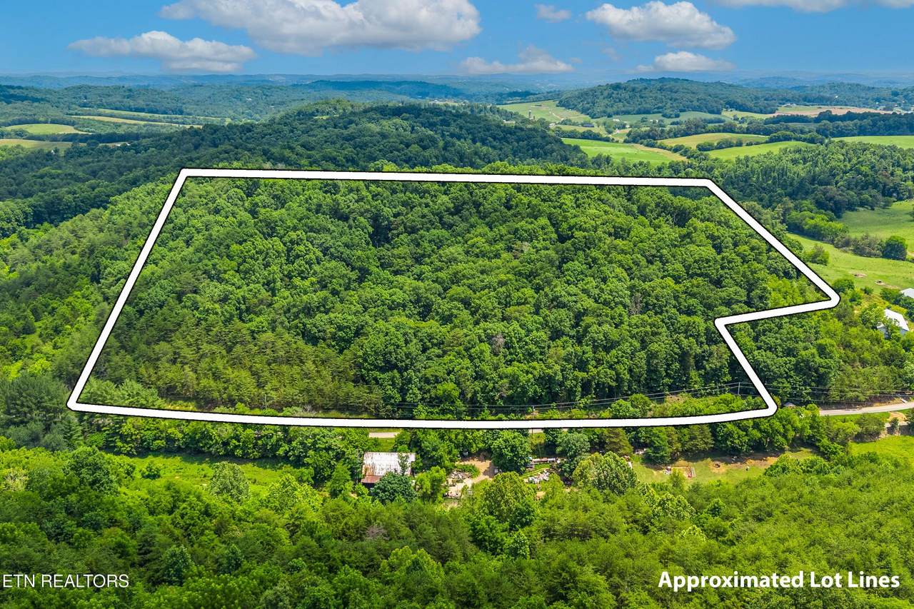 2165 Smelcer Rd - Photo 1