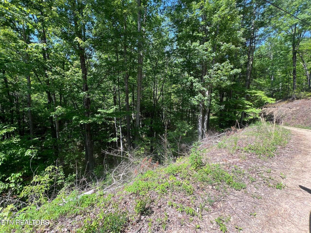 Lot 55 Butternut Lane - Photo 1
