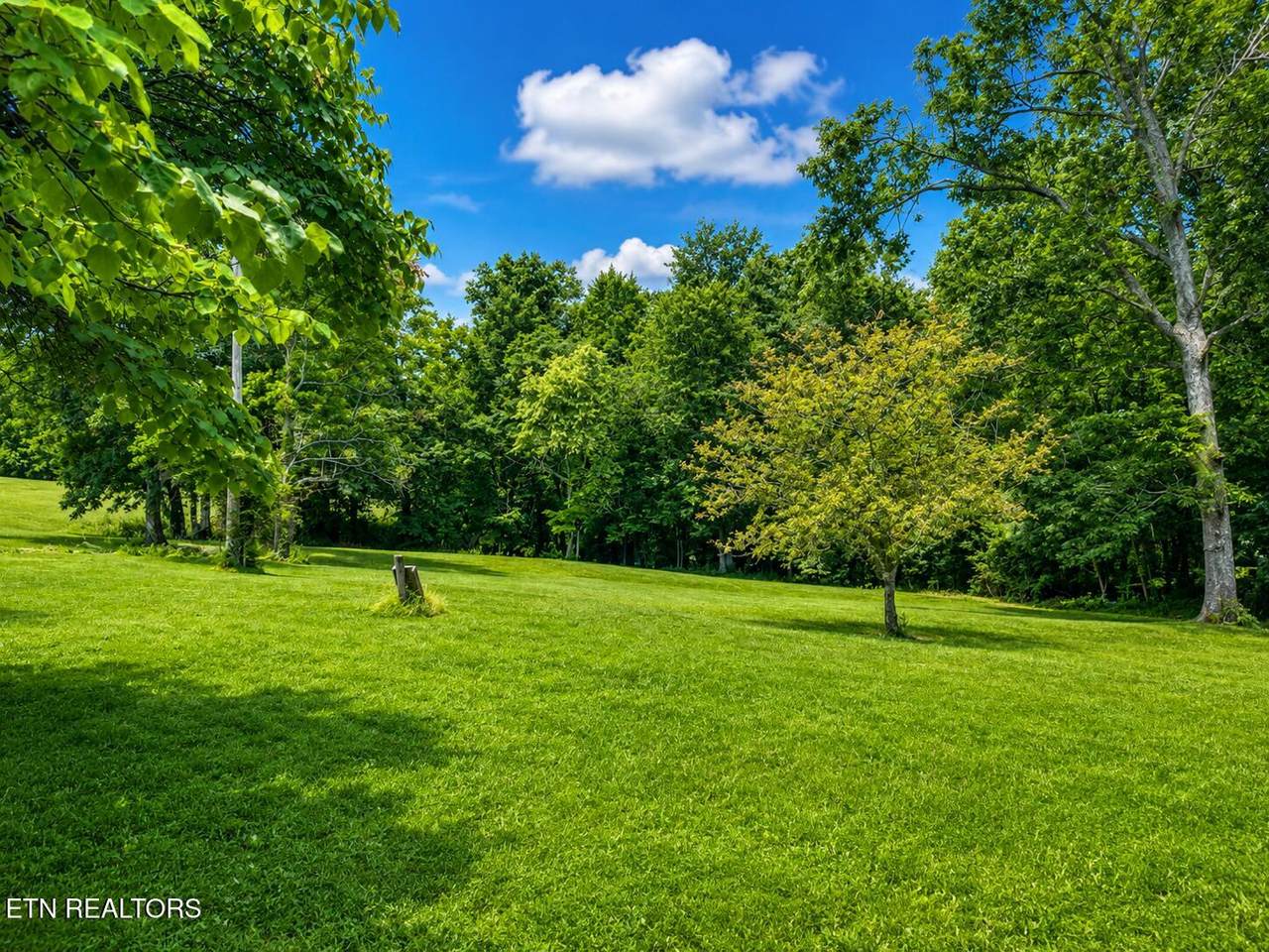 1323 Bee Rock Rd - Photo 1