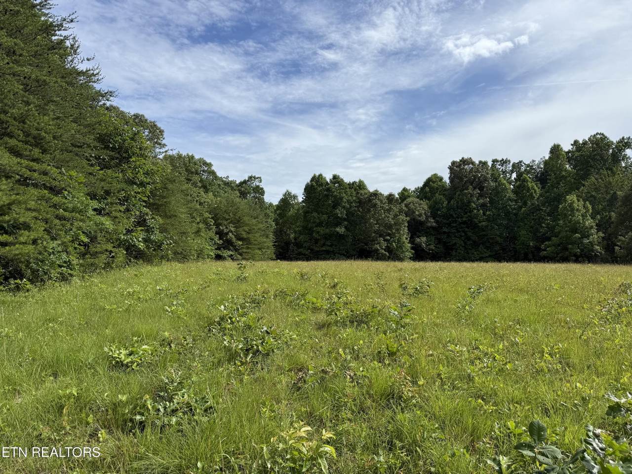  Clear Creek Rd. 41 Acres - Photo 1