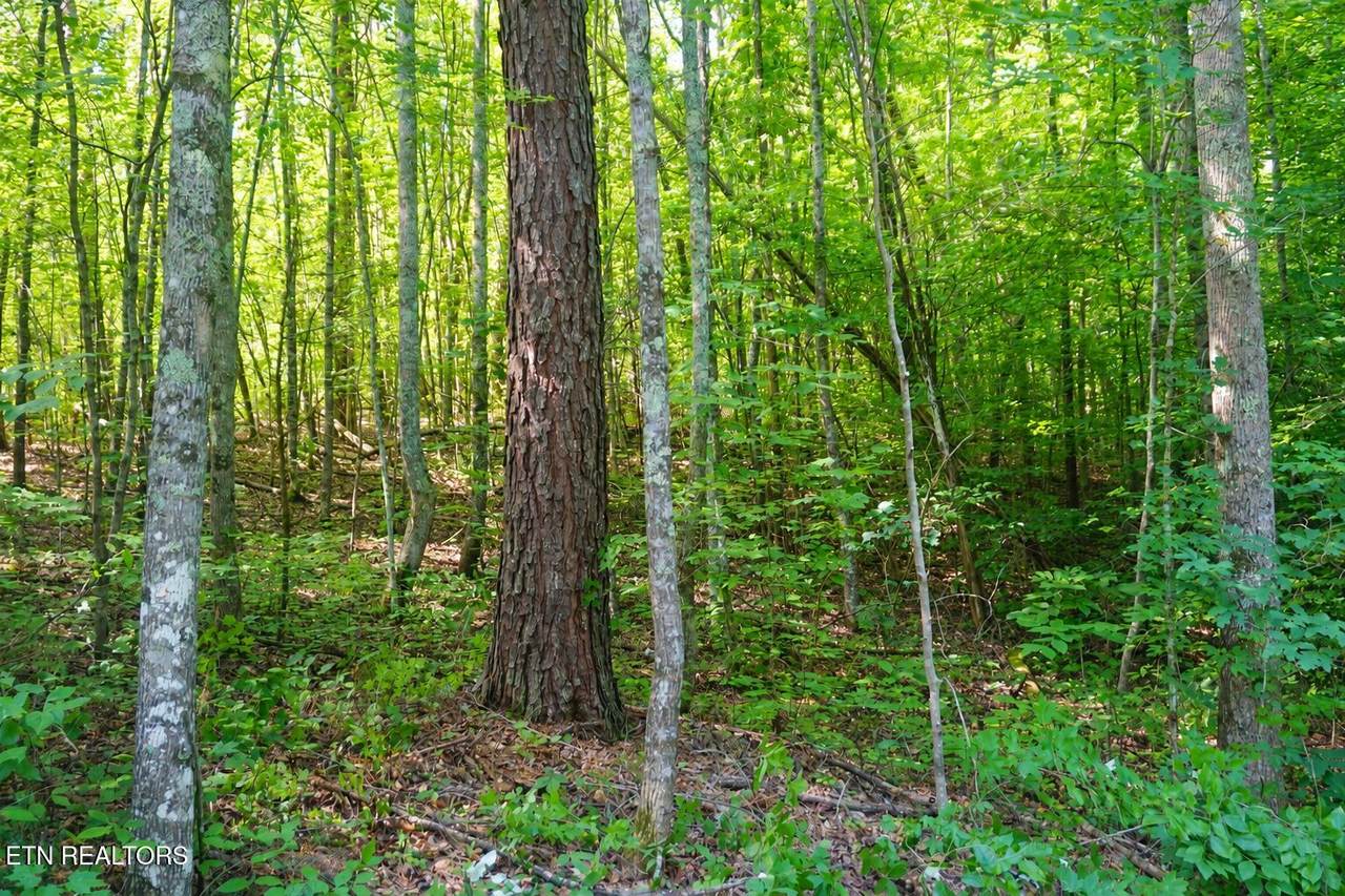 https://bt-photos.global.ssl.fastly.net/kaar/1280_boomver_1_1345286-2.jpg