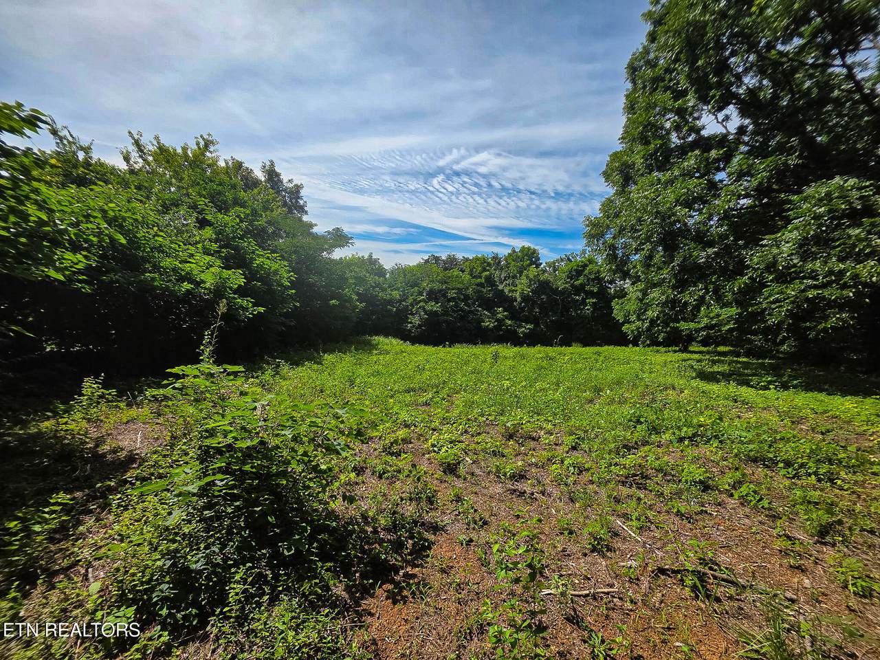 7120 Terry Drive - Photo 1