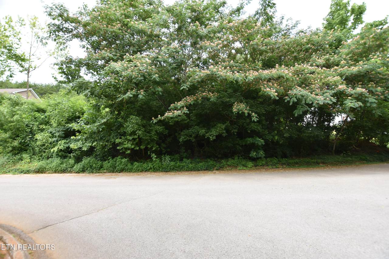 7139 Remagen Lane - Photo 1