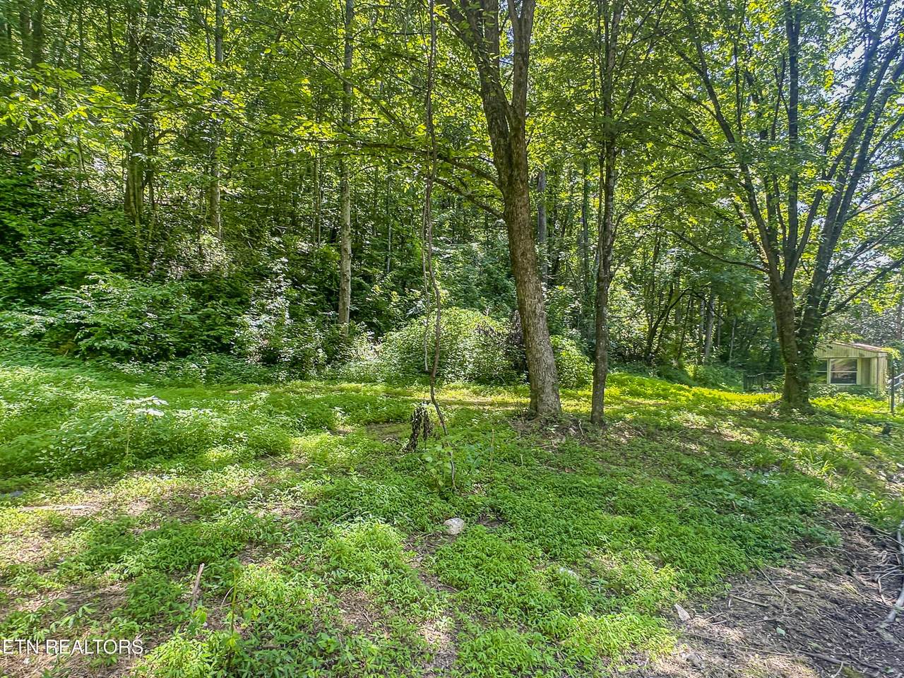 9109 Pickens Gap Rd - Photo 1