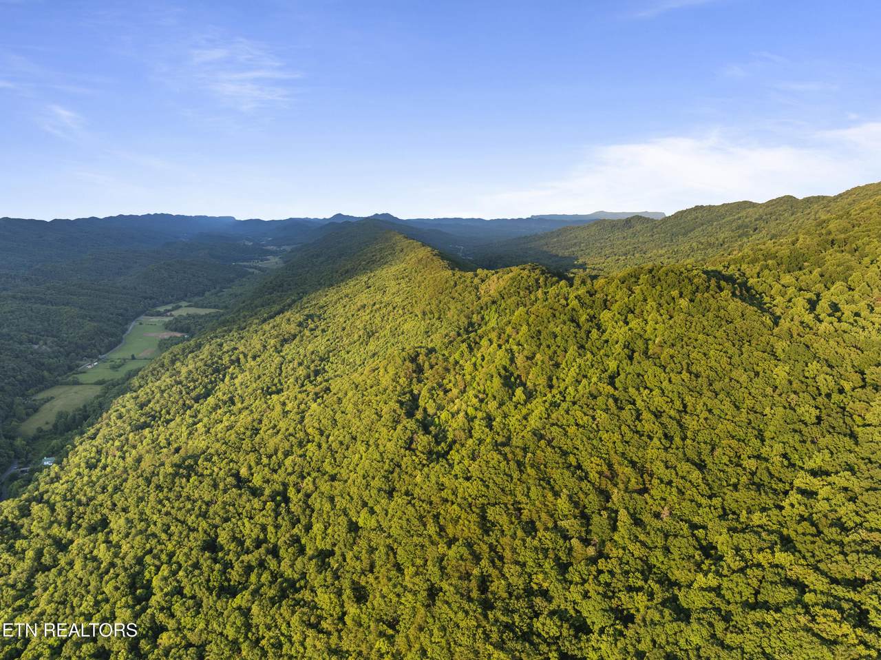  Spruce Pine (330 Acres) Rd - Photo 1