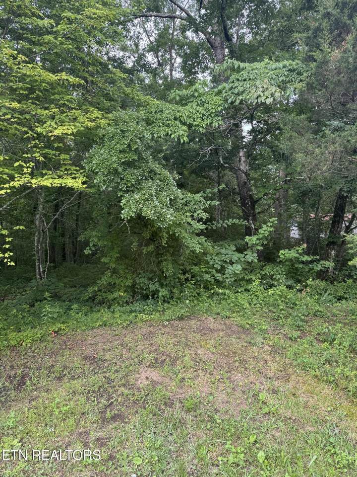  Timothy Drive - Photo 1