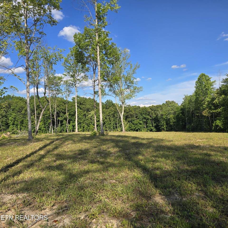 80+/- AC Red Hill Rd - Photo 1