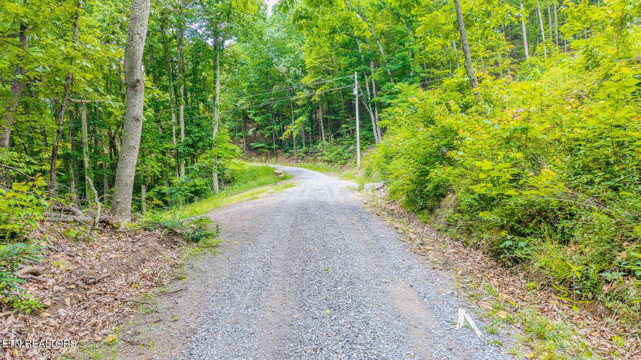 1038 Clingmans View - Photo 1