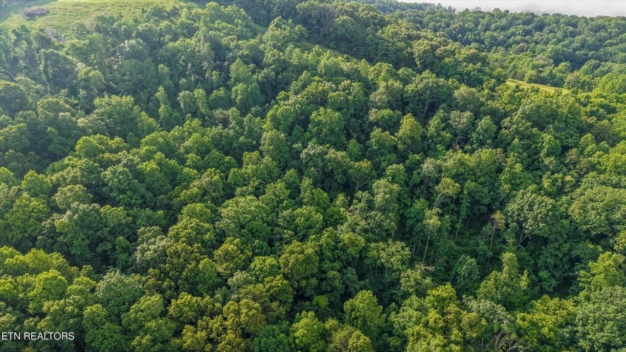 Lot 2 Graves Hollow Rd - Photo 1