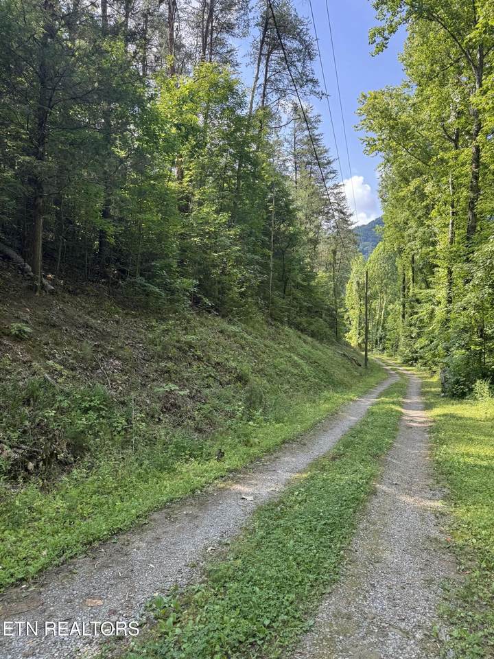 Lot 23 Walden Ridge Rd - Photo 1