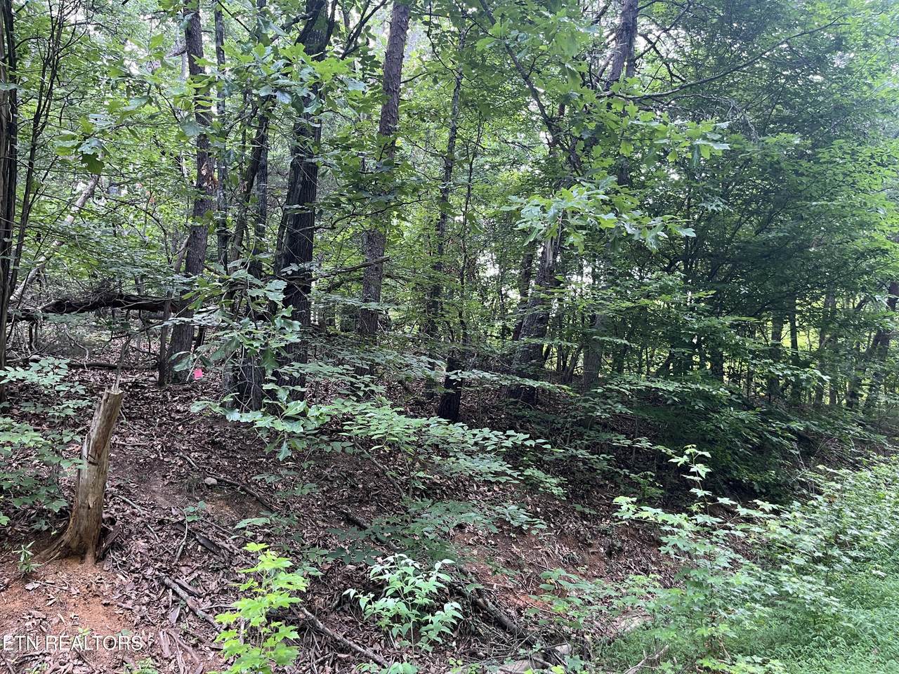 3278 Hillside Rd - Photo 1