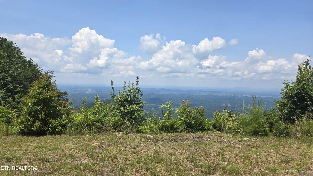 00 Top Rd - Photo 1