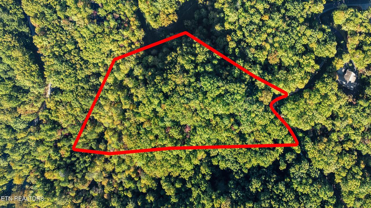 Lot 4 Deer Ridge Lane - Photo 1
