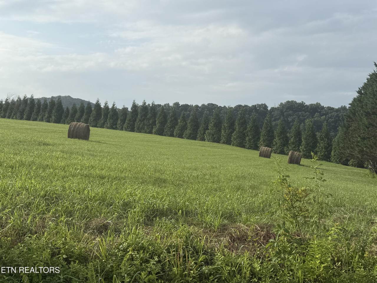 https://bt-photos.global.ssl.fastly.net/kaar/1280_boomver_1_1346356-2.jpg