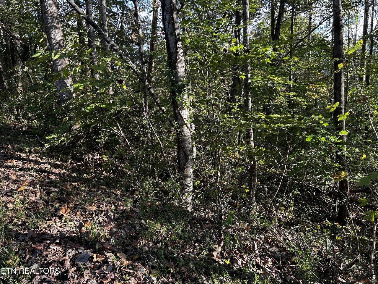 https://bt-photos.global.ssl.fastly.net/kaar/1280_boomver_1_1346601-2.jpg