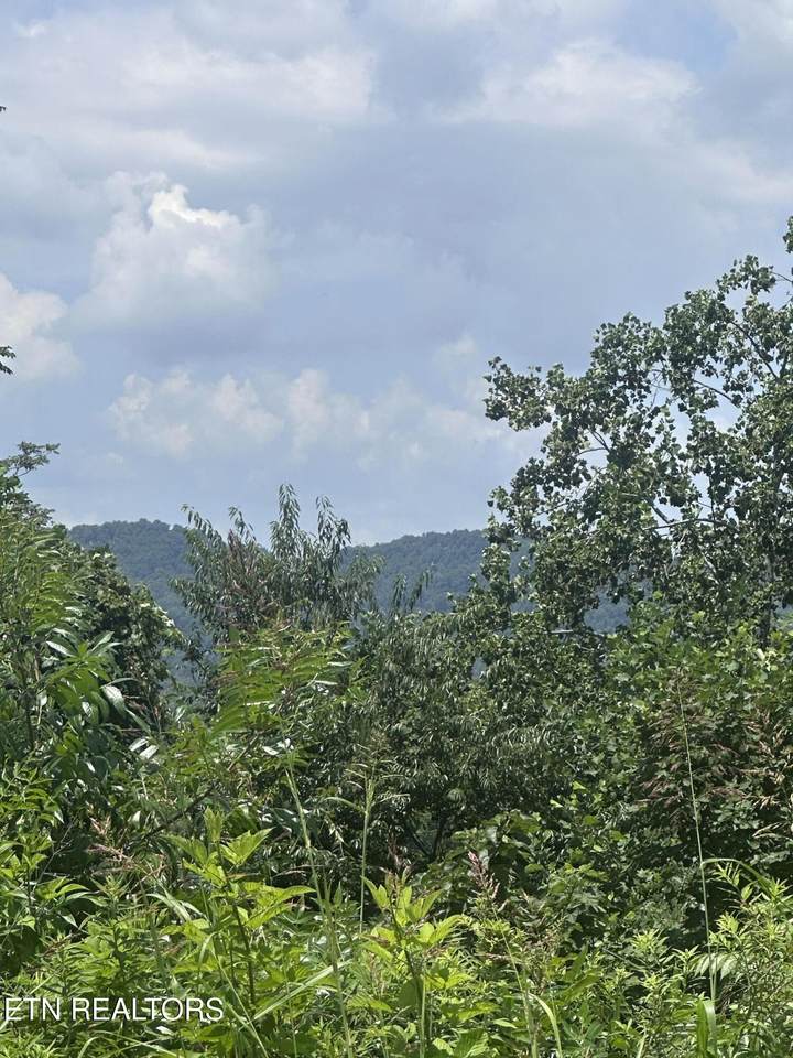 560 Low Valley Rd - Photo 1