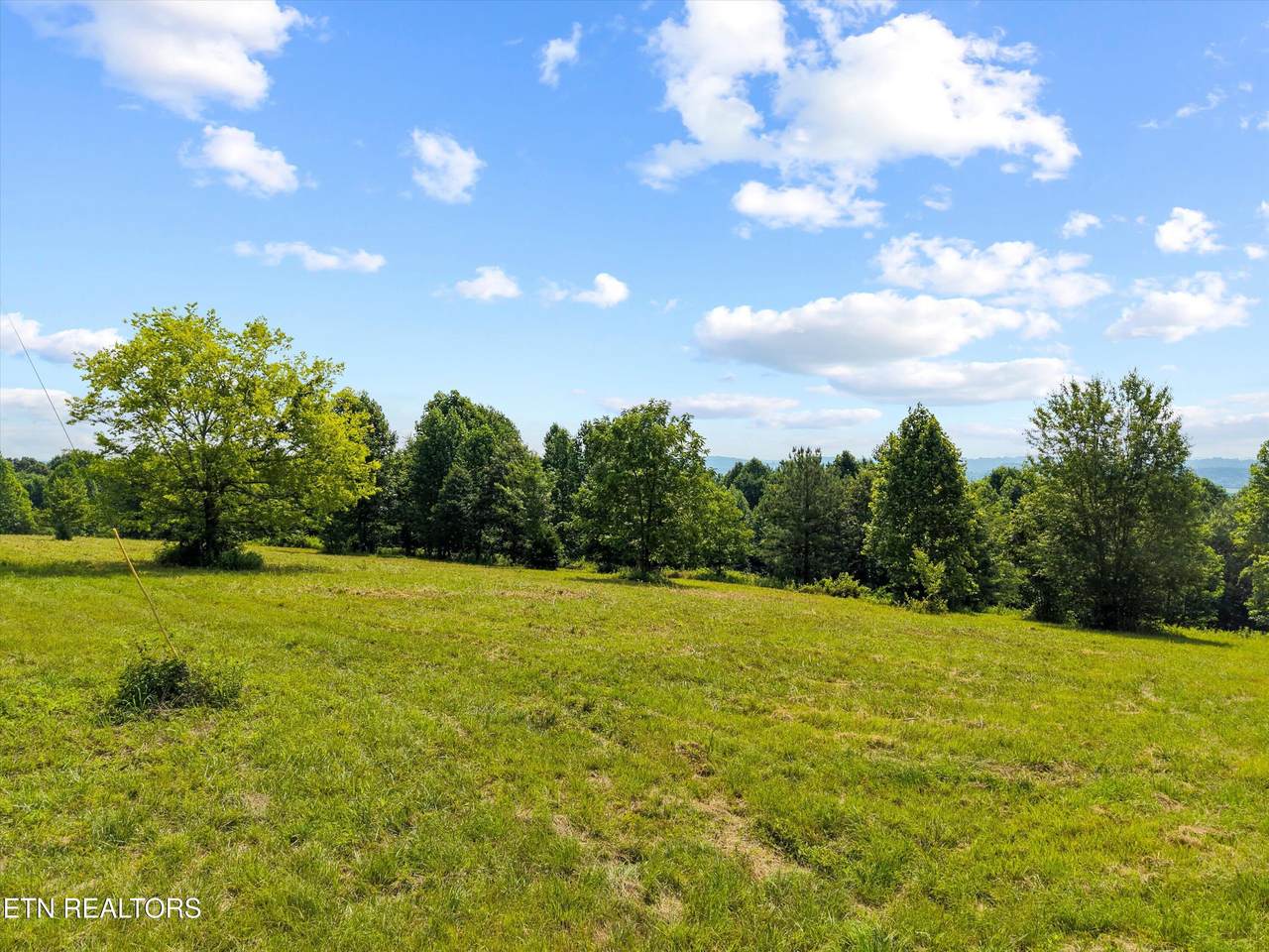 13252 Flatwoods Rd - Photo 1