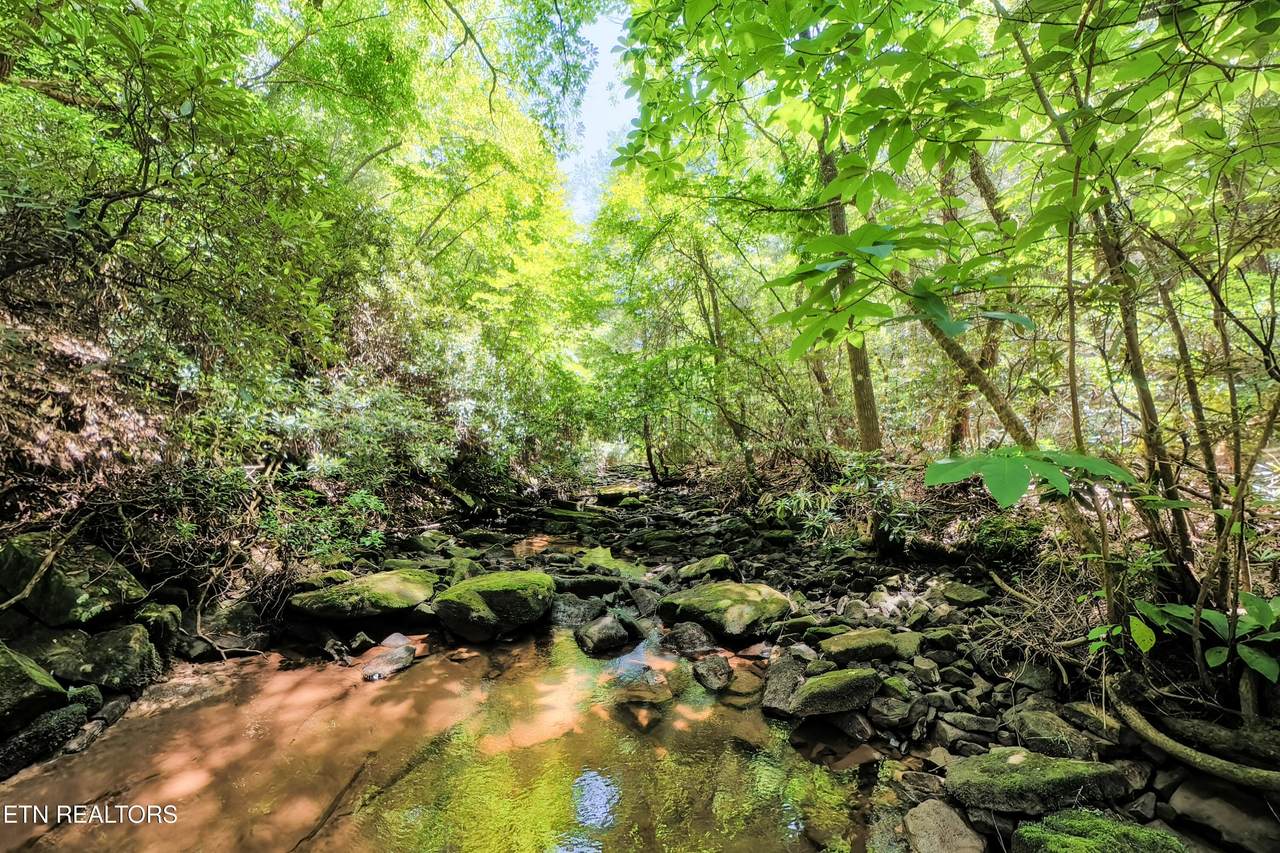 Leffle Webb Rd - Photo 1