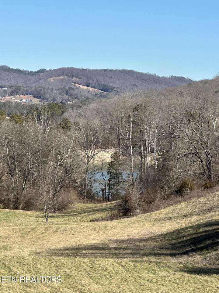  Bob Wright Rd - Photo 1