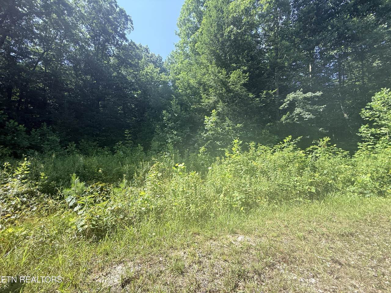 760 Dubose Drive - Photo 1
