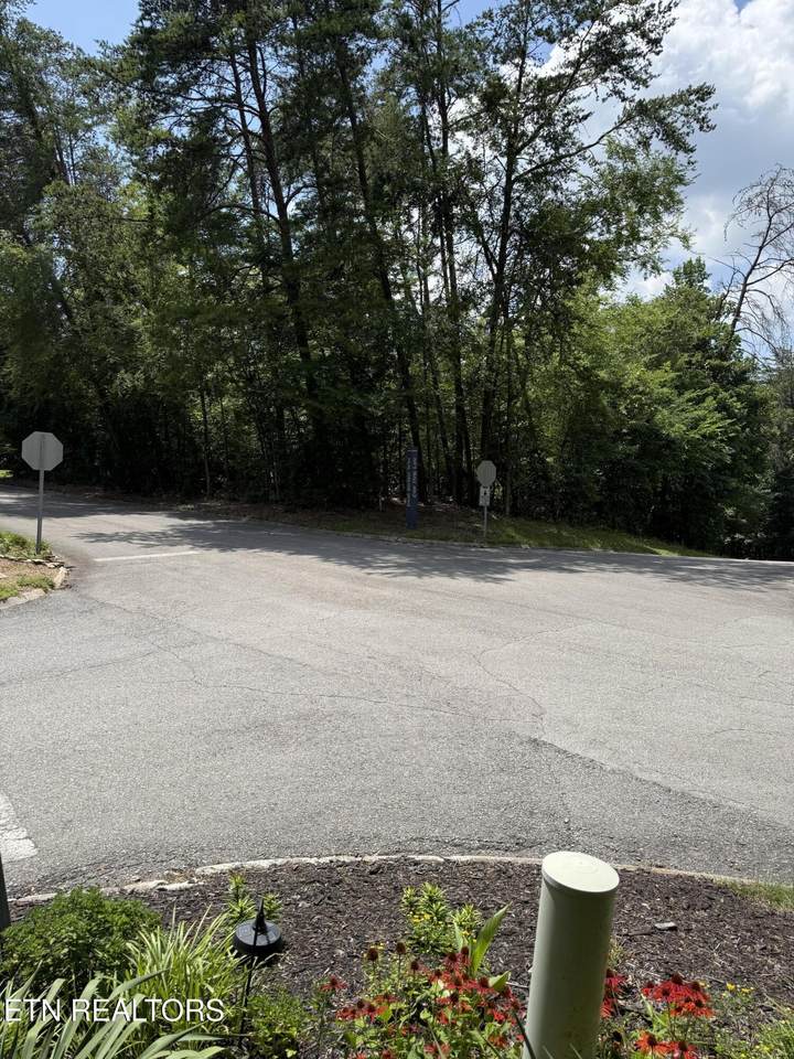  Point Harbour Drive - Photo 1