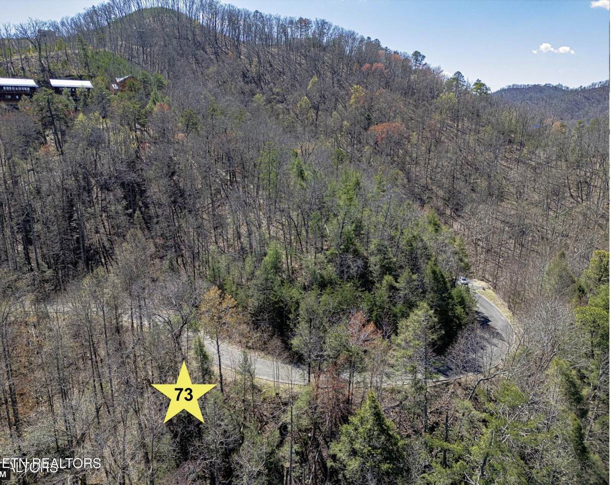  Lot #73 Smoky Ridge Way - Photo 1