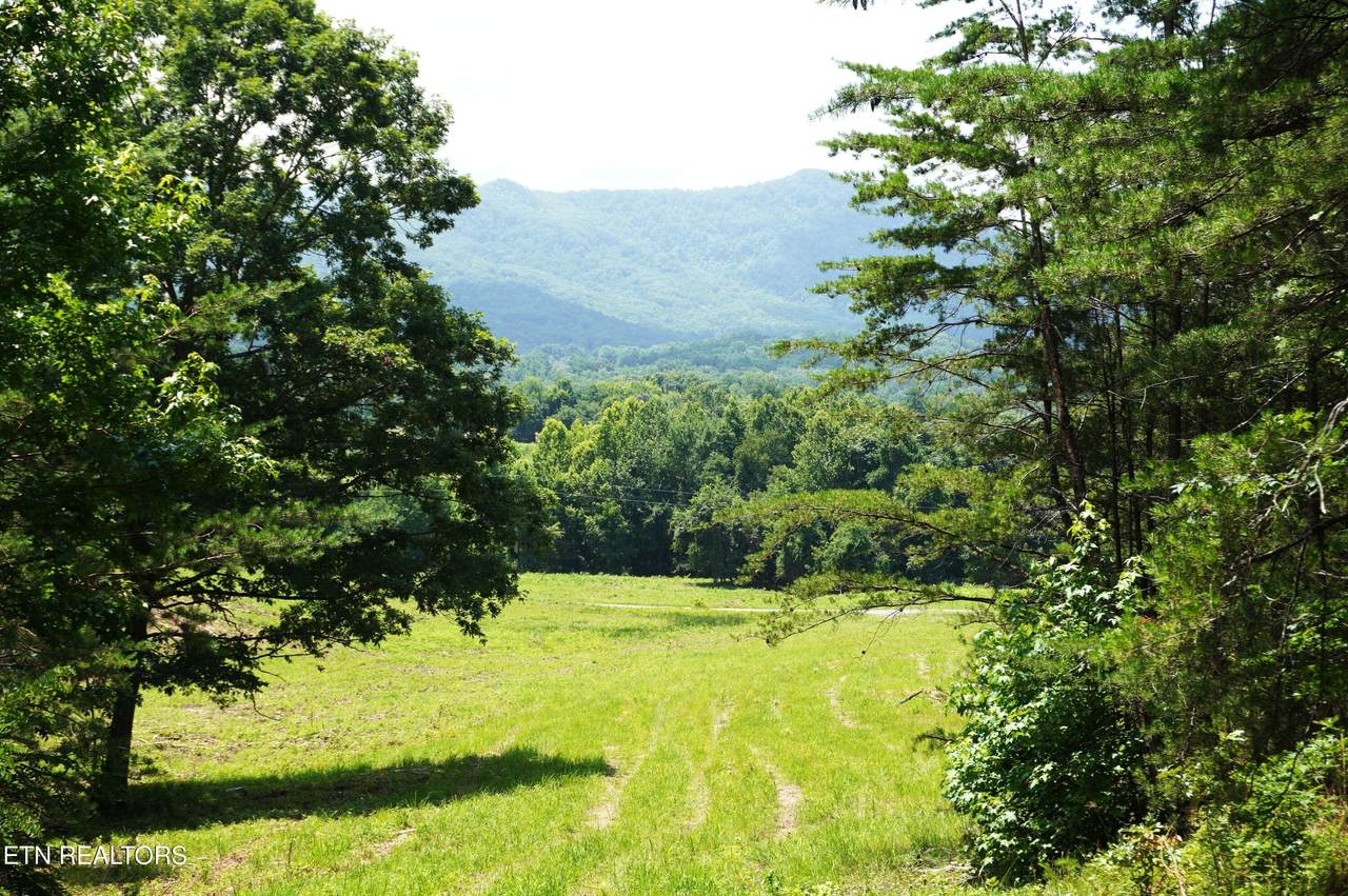 00 Rhyne Camp Rd - Photo 1