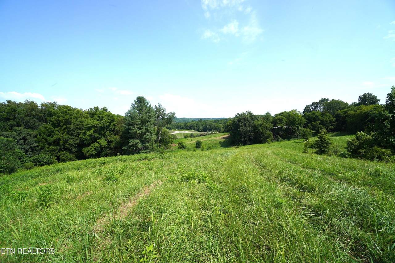 00 Old Greeneville Hwy - Photo 1