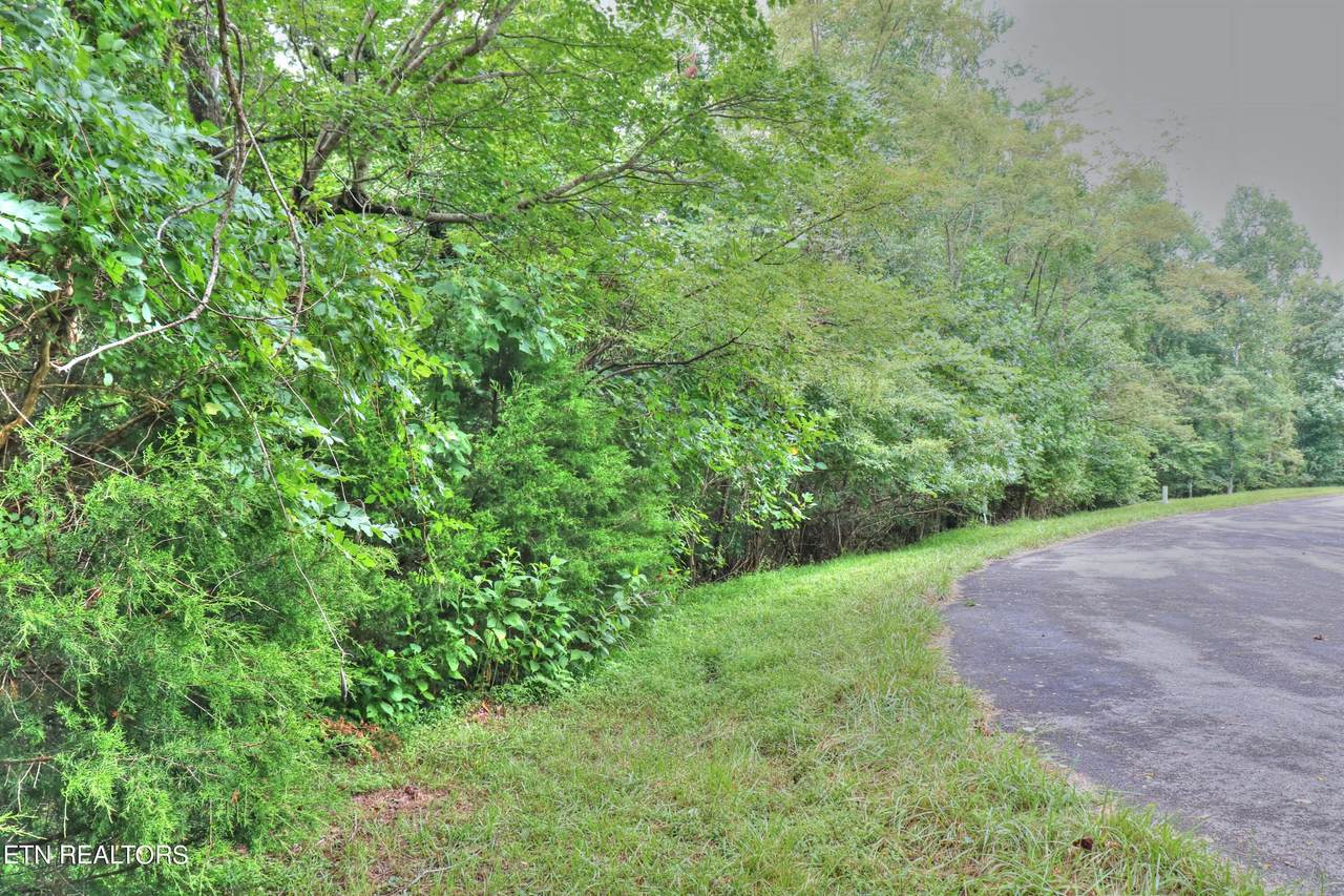 Lot 432 Beryl Court - Photo 1