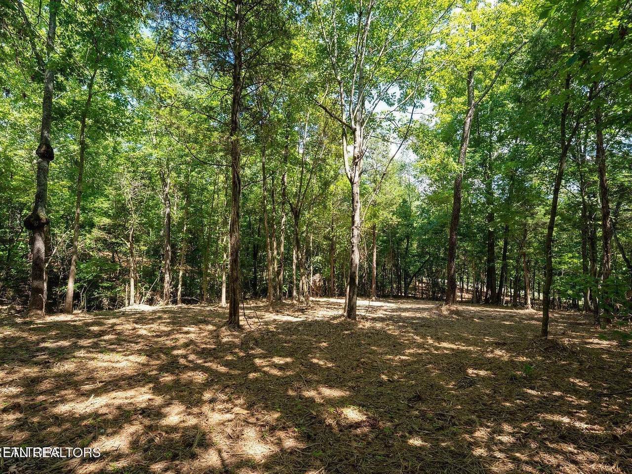 125 Pinecrest Drive - Photo 1