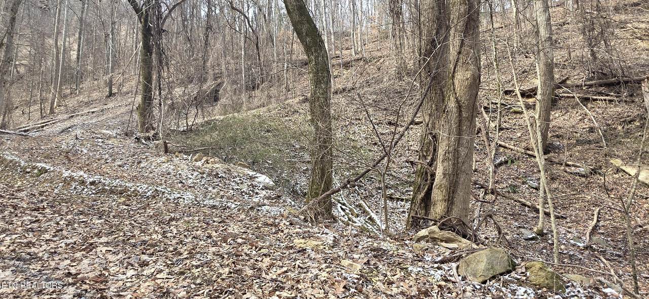 Lot 4 Balsam Slopes Rd - Photo 1